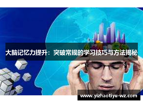 大脑记忆力提升：突破常规的学习技巧与方法揭秘