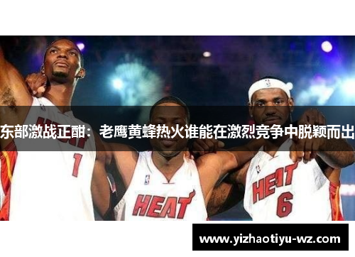 东部激战正酣：老鹰黄蜂热火谁能在激烈竞争中脱颖而出